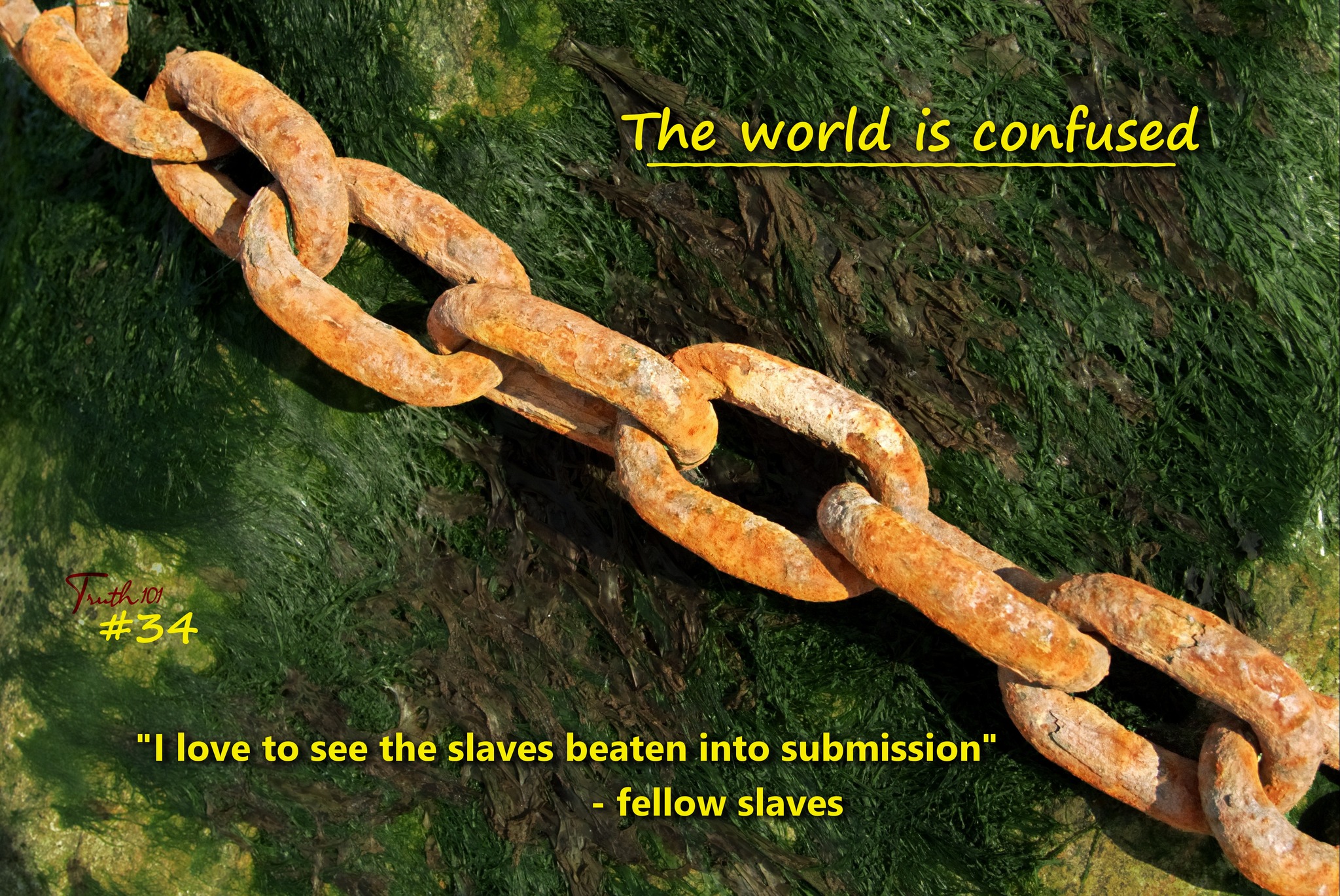 Truth 101 Image